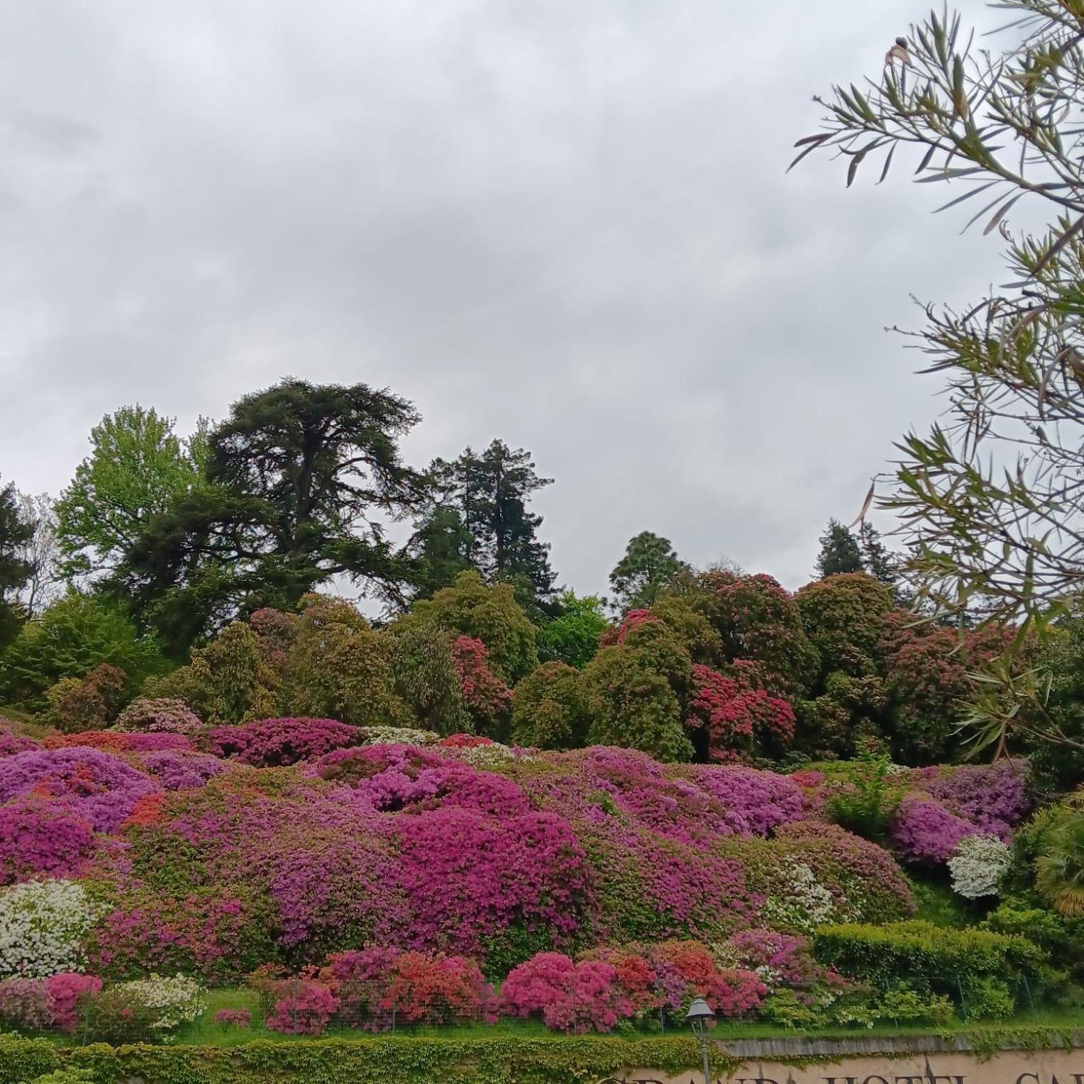La Casa Al Lago Bmor Love&Lake Mezzegra エクステリア 写真