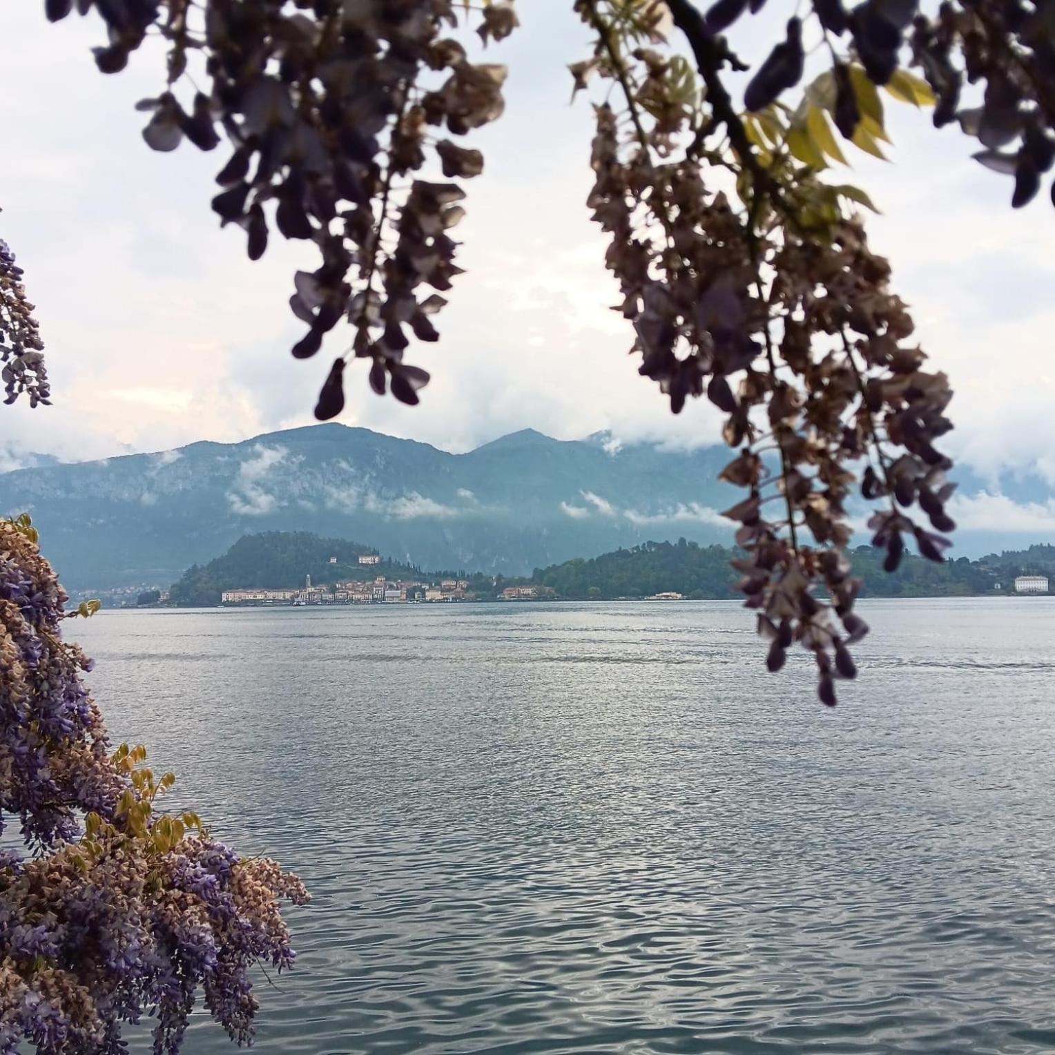 La Casa Al Lago Bmor Love&Lake Mezzegra エクステリア 写真
